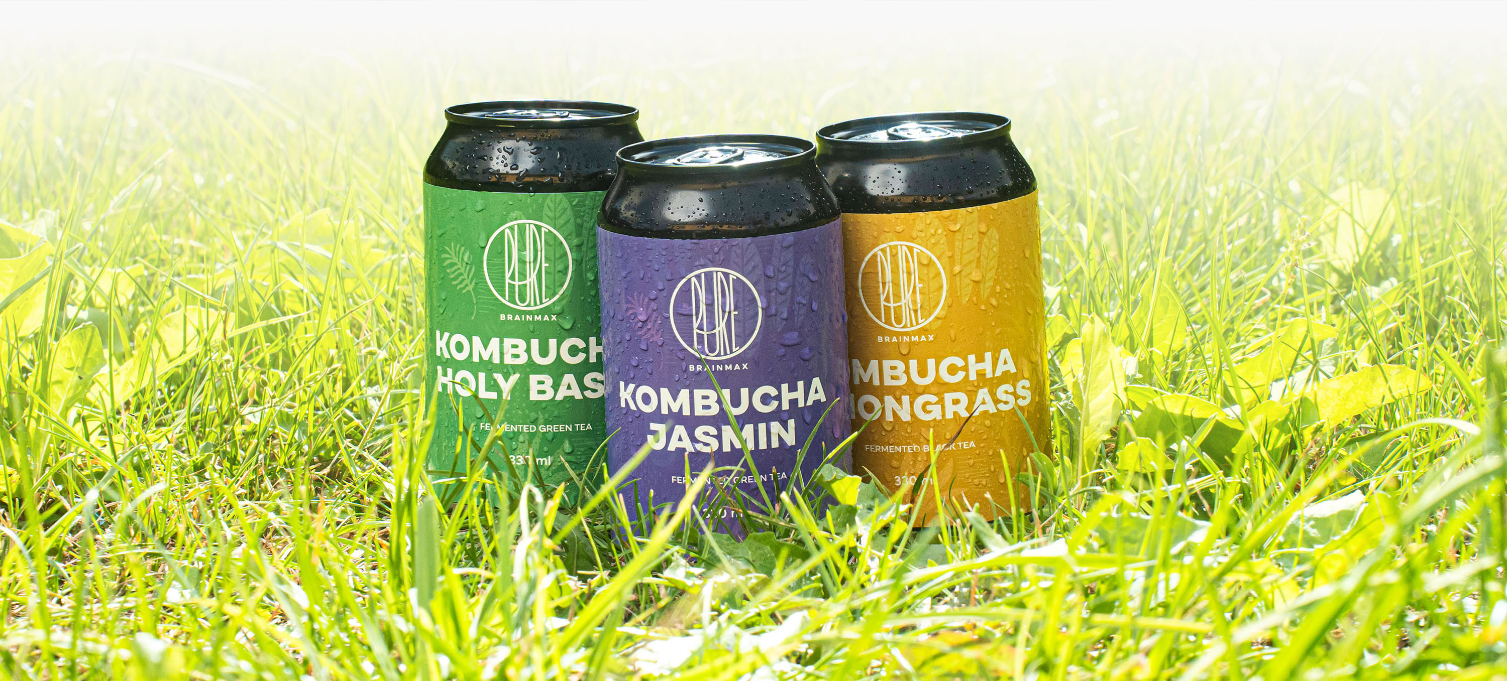 zdjęcie otwierające kombucha